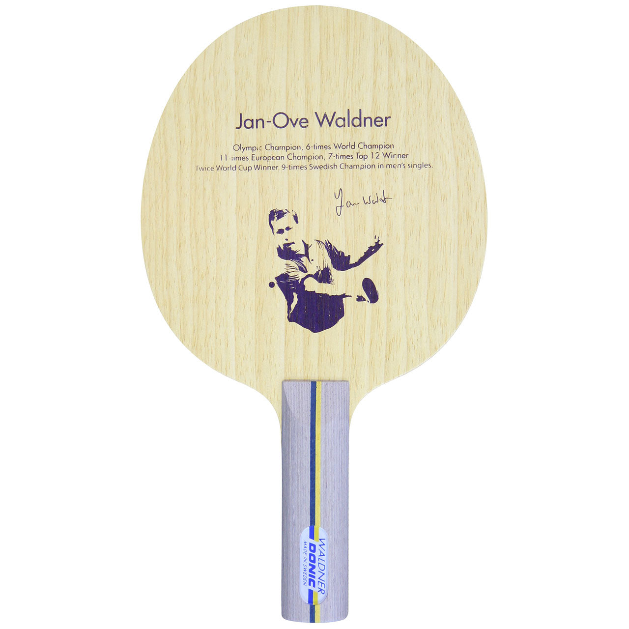 Donic Waldner Offensive