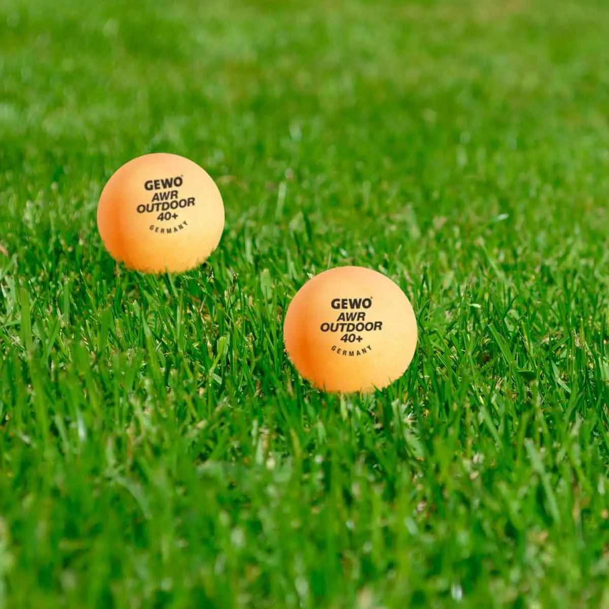 Gewo Balls AWR Outdoor 40+(6) orange Gewo SE - tabletennisstore.eu